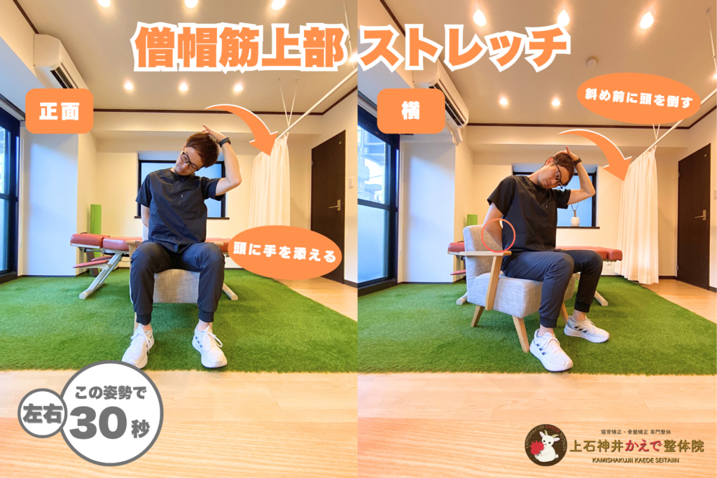 僧帽筋のストレッチ方法